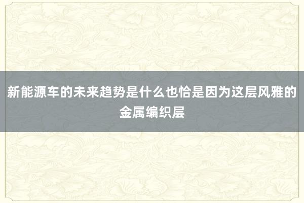 新能源车的未来趋势是什么也恰是因为这层风雅的金属编织层