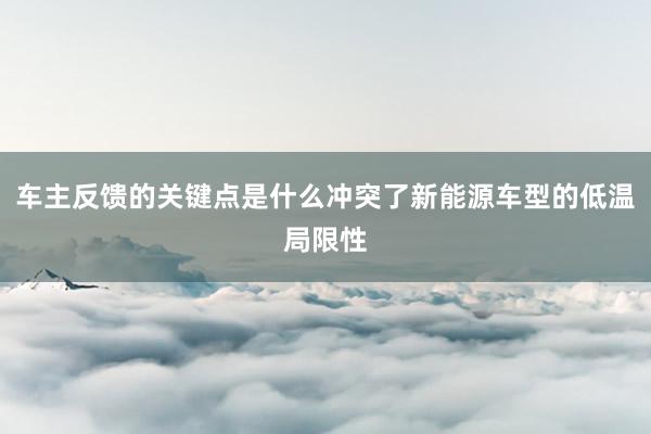 车主反馈的关键点是什么冲突了新能源车型的低温局限性