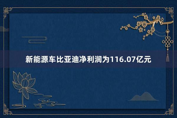 新能源车比亚迪净利润为116.07亿元