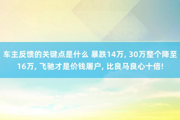 车主反馈的关键点是什么 暴跌14万, 30万整个降至16万, 飞驰才是价钱屠户, 比良马良心十倍!