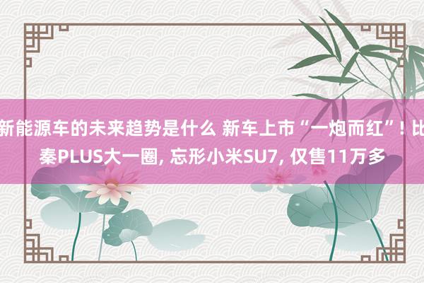 新能源车的未来趋势是什么 新车上市“一炮而红”! 比秦PLUS大一圈, 忘形小米SU7, 仅售11万多