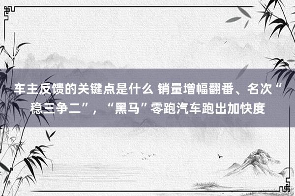 车主反馈的关键点是什么 销量增幅翻番、名次“稳三争二”，“黑马”零跑汽车跑出加快度