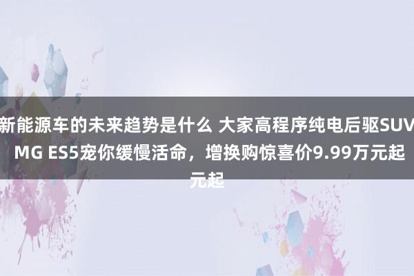 新能源车的未来趋势是什么 大家高程序纯电后驱SUV MG ES5宠你缓慢活命，增换购惊喜价9.99万元起