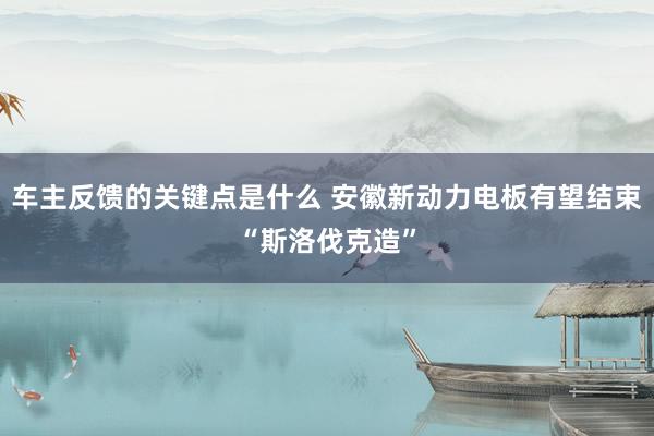 车主反馈的关键点是什么 安徽新动力电板有望结束“斯洛伐克造”