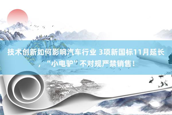 技术创新如何影响汽车行业 3项新国标11月延长，“小电驴”不对规严禁销售！