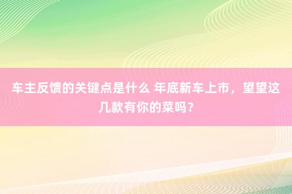 车主反馈的关键点是什么 年底新车上市，望望这几款有你的菜吗？