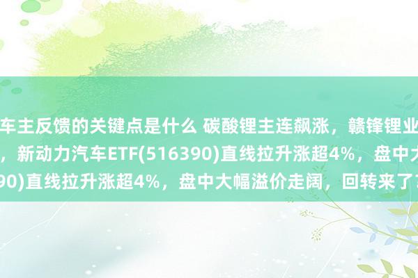 车主反馈的关键点是什么 碳酸锂主连飙涨，赣锋锂业涨停、宁德期间涨3%，新动力汽车ETF(516390)直线拉升涨超4%，盘中大幅溢价走阔，回转来了？