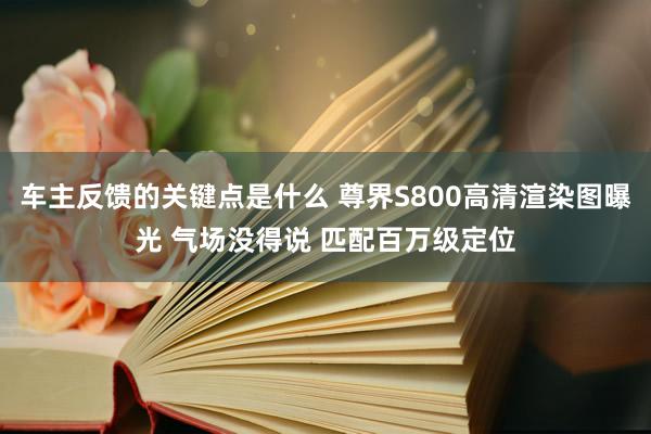 车主反馈的关键点是什么 尊界S800高清渲染图曝光 气场没得说 匹配百万级定位