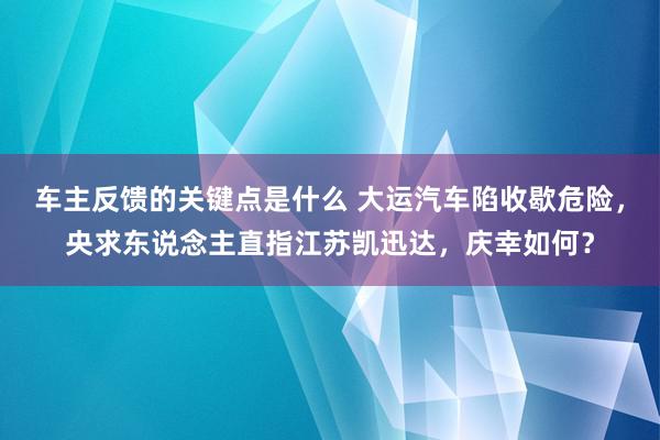 车主反馈的关键点是什么 大运汽车陷收歇危险，央求东说念主直指江苏凯迅达，庆幸如何？