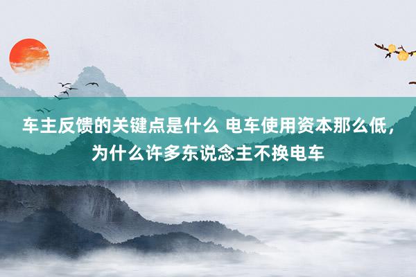 车主反馈的关键点是什么 电车使用资本那么低，为什么许多东说念主不换电车