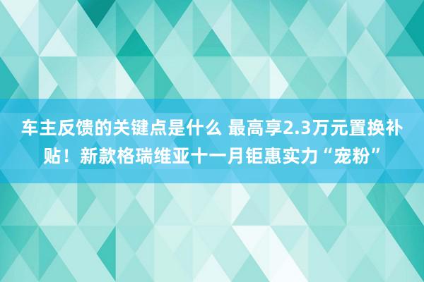 车主反馈的关键点是什么 最高享2.3万元置换补贴！新款格瑞维亚十一月钜惠实力“宠粉”