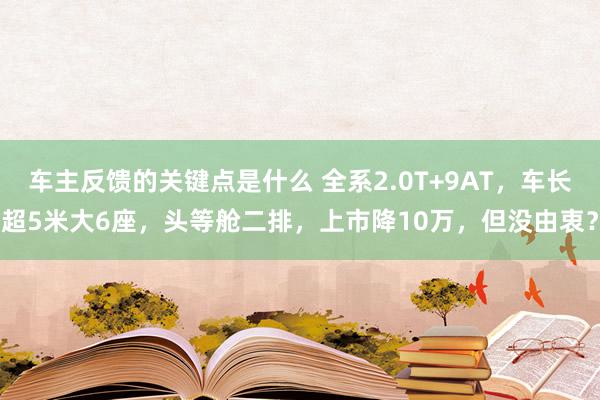 车主反馈的关键点是什么 全系2.0T+9AT，车长超5米大6座，头等舱二排，上市降10万，但没由衷？