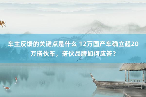 车主反馈的关键点是什么 12万国产车确立超20万搭伙车，搭伙品牌如何应答？