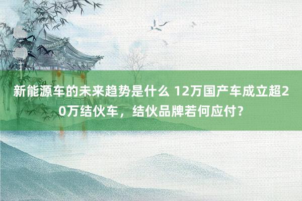 新能源车的未来趋势是什么 12万国产车成立超20万结伙车，结伙品牌若何应付？