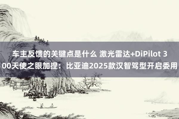 车主反馈的关键点是什么 激光雷达+DiPilot 300天使之眼加捏：比亚迪2025款汉智驾型开启委用