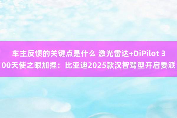 车主反馈的关键点是什么 激光雷达+DiPilot 300天使之眼加捏：比亚迪2025款汉智驾型开启委派