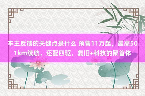 车主反馈的关键点是什么 预售11万起，最高501km续航，还