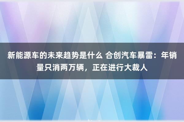 新能源车的未来趋势是什么 合创汽车暴雷：年销量只消两万辆，正在进行大裁人