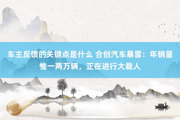 车主反馈的关键点是什么 合创汽车暴雷：年销量惟一两万辆，正在