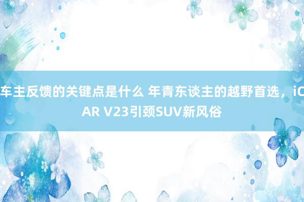 车主反馈的关键点是什么 年青东谈主的越野首选，iCAR V2