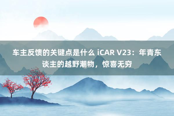 车主反馈的关键点是什么 iCAR V23：年青东谈主的越野潮物，惊喜无穷