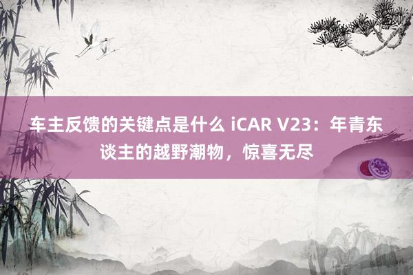 车主反馈的关键点是什么 iCAR V23：年青东谈主的越野潮物，惊喜无尽