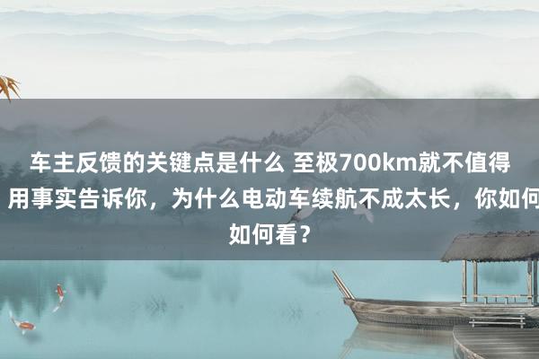 车主反馈的关键点是什么 至极700km就不值得买！用事实告诉你，为什么电动车续航不成太长，你如何看？