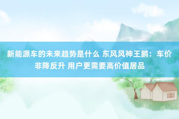 新能源车的未来趋势是什么 东风风神王鹏：车价非降反升 用户更需要高价值居品