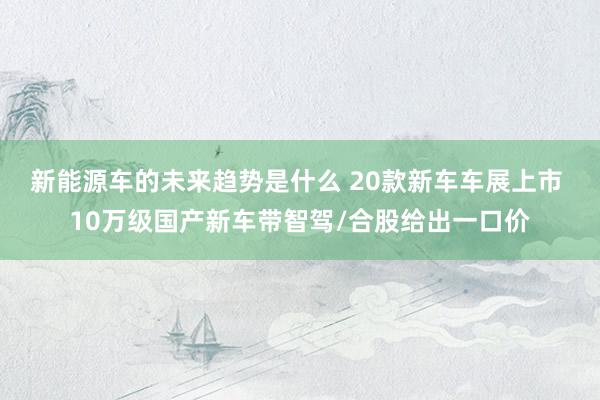 新能源车的未来趋势是什么 20款新车车展上市 10万级国产新车带智驾/合股给出一口价