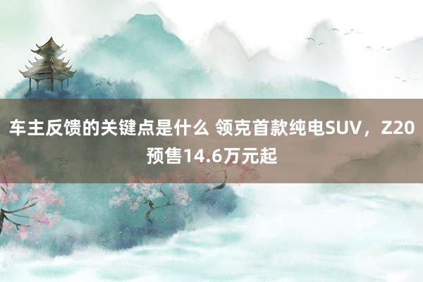 车主反馈的关键点是什么 领克首款纯电SUV，Z20预售14.6万元起