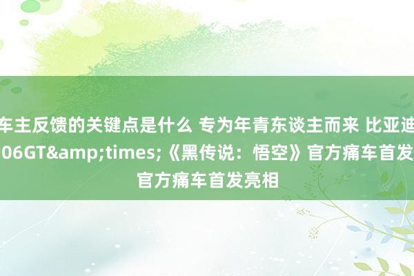 车主反馈的关键点是什么 专为年青东谈主而来 比亚迪海豹06GT&times;《黑传说：悟空》官方痛车首发亮相