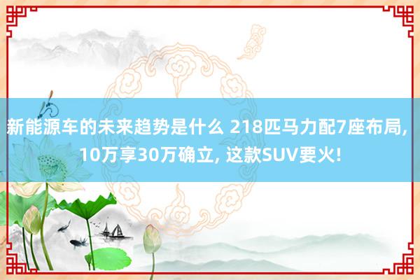 新能源车的未来趋势是什么 218匹马力配7座布局, 10万享