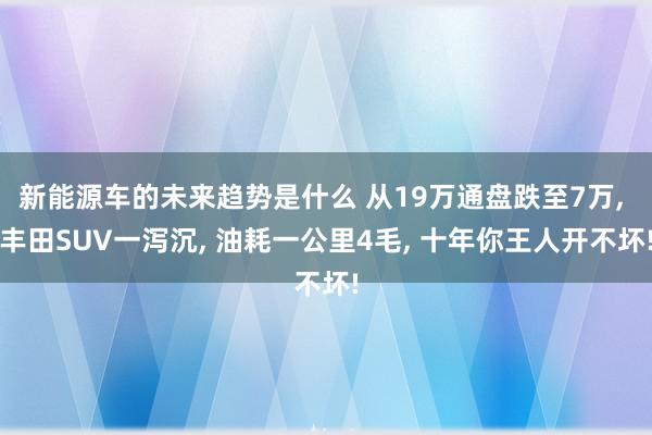 新能源车的未来趋势是什么 从19万通盘跌至7万, 丰田SUV