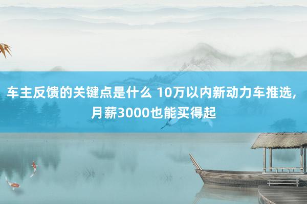 车主反馈的关键点是什么 10万以内新动力车推选, 月薪300