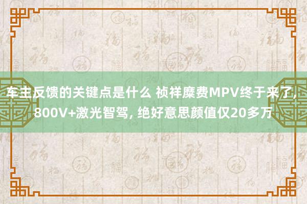 车主反馈的关键点是什么 祯祥糜费MPV终于来了, 800V+