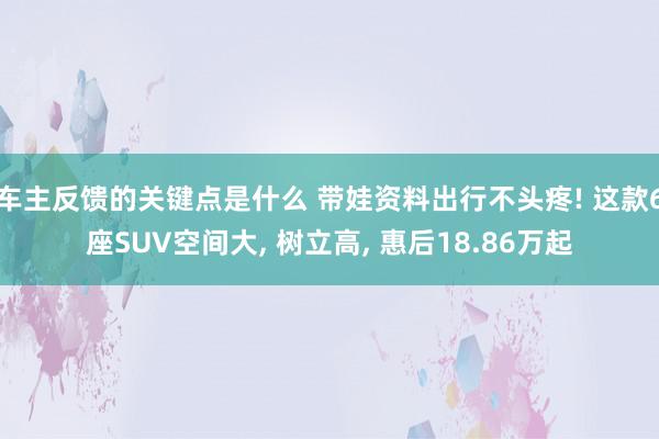 车主反馈的关键点是什么 带娃资料出行不头疼! 这款6座SUV