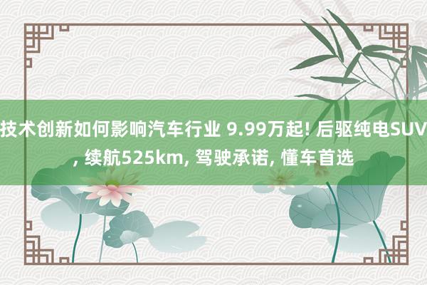 技术创新如何影响汽车行业 9.99万起! 后驱纯电SUV, 