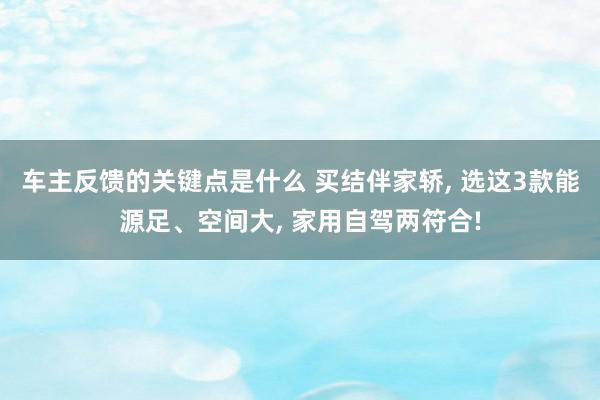 车主反馈的关键点是什么 买结伴家轿, 选这3款能源足、空间大, 家用自驾两符合!