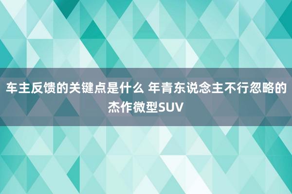 车主反馈的关键点是什么 年青东说念主不行忽略的杰作微型SUV