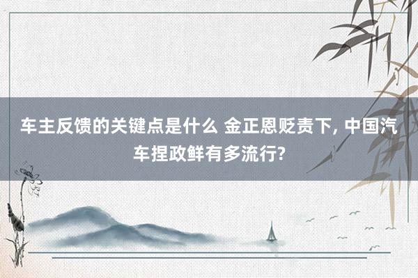 车主反馈的关键点是什么 金正恩贬责下, 中国汽车捏政鲜有多流行?