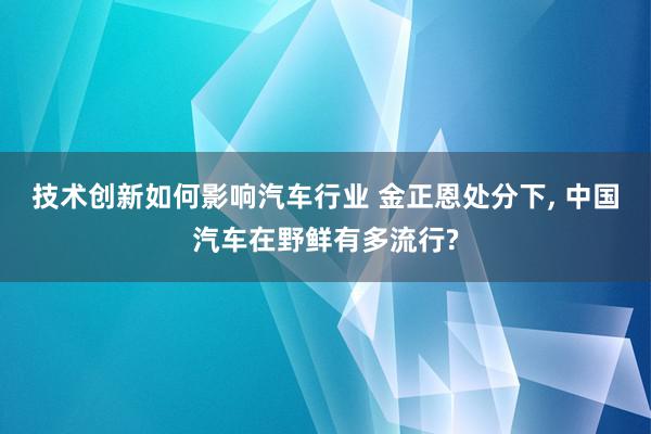 技术创新如何影响汽车行业 金正恩处分下, 中国汽车在野鲜有多流行?