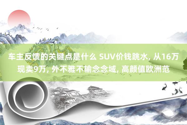 车主反馈的关键点是什么 SUV价钱跳水, 从16万现卖9万, 外不雅不输念念域, 高颜值欧洲范