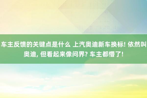 车主反馈的关键点是什么 上汽奥迪新车换标! 依然叫奥迪, 但看起来像问界? 车主都懵了!