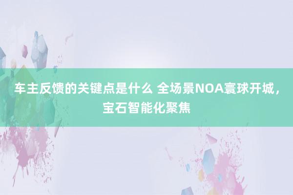 车主反馈的关键点是什么 全场景NOA寰球开城，宝石智能化聚焦