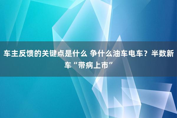 车主反馈的关键点是什么 争什么油车电车？半数新车“带病上市”