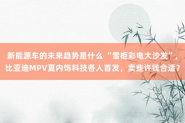 新能源车的未来趋势是什么 “雪柜彩电大沙发”，比亚迪MPV夏