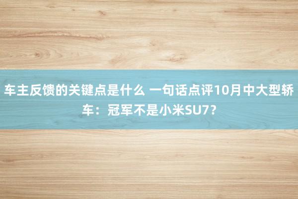 车主反馈的关键点是什么 一句话点评10月中大型轿车：冠军不是