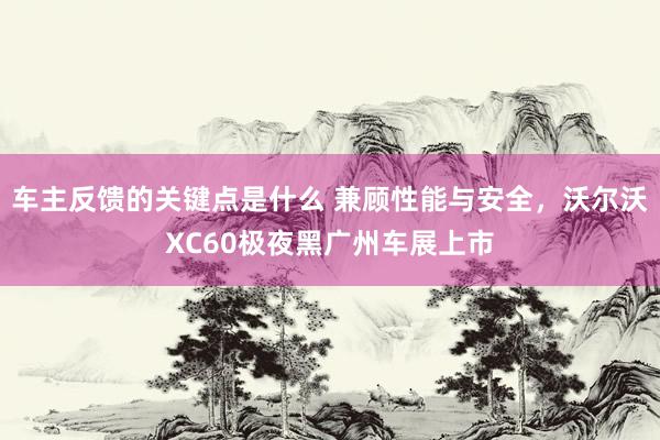 车主反馈的关键点是什么 兼顾性能与安全，沃尔沃XC60极夜黑广州车展上市