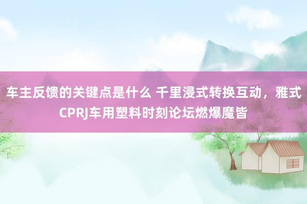 车主反馈的关键点是什么 千里浸式转换互动，雅式CPRJ车用塑料时刻论坛燃爆魔皆