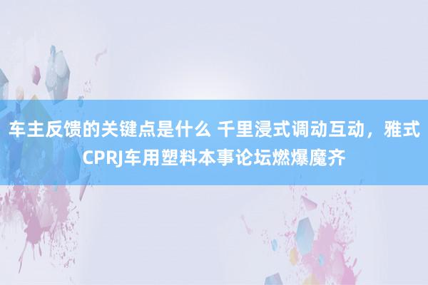 车主反馈的关键点是什么 千里浸式调动互动，雅式CPRJ车用塑